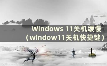 Windows 11关机缓慢（window11关机快捷键）